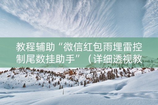 教程辅助“微信红包雨埋雷控制尾数挂助手”（详细透视教程）-哔哩哔哩