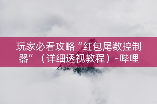 玩家必看攻略“红包尾数控制器”（详细透视教程）-哔哩哔哩