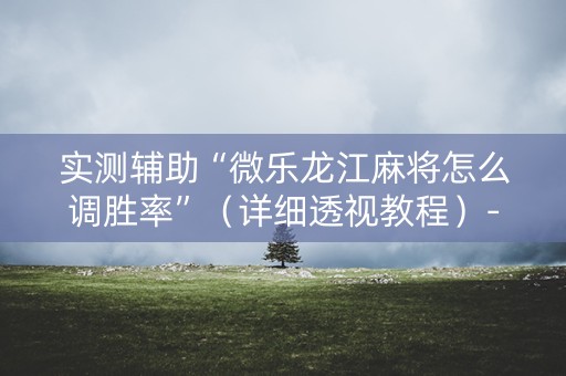 实测辅助“微乐龙江麻将怎么调胜率”（详细透视教程）-哔哩哔哩