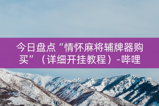 今日盘点“情怀麻将辅牌器购买”（详细开挂教程）-哔哩哔哩