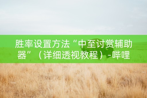 胜率设置方法“中至讨赏辅助器”（详细透视教程）-哔哩哔哩