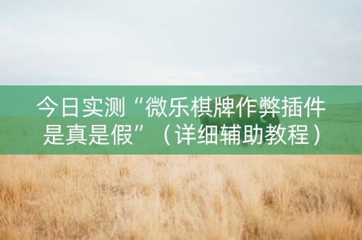 今日实测“微乐棋牌作弊插件是真是假”（详细辅助教程）-哔哩哔哩