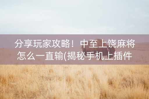 分享玩家攻略！中至上饶麻将怎么一直输(揭秘手机上插件下载)
