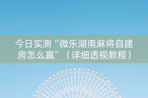 今日实测“微乐湖南麻将自建房怎么赢”（详细透视教程）-哔哩哔哩