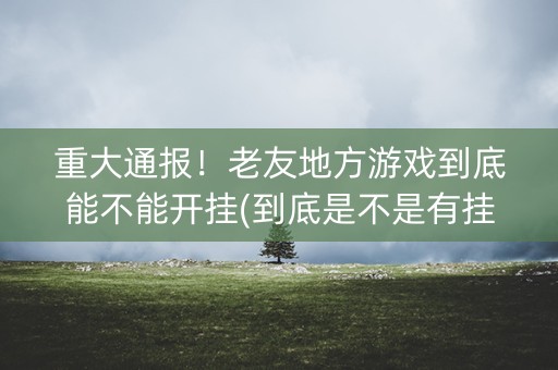 重大通报！老友地方游戏到底能不能开挂(到底是不是有挂)