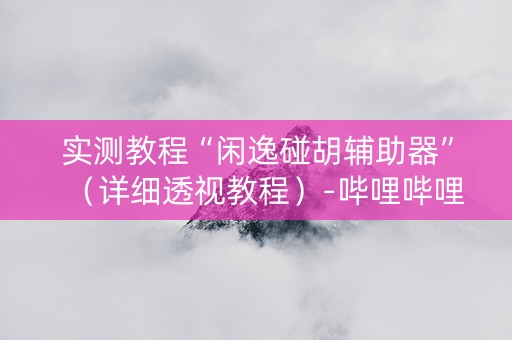 实测教程“闲逸碰胡辅助器”（详细透视教程）-哔哩哔哩