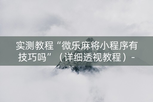 实测教程“微乐麻将小程序有技巧吗”（详细透视教程）-哔哩哔哩