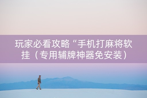 玩家必看攻略“手机打麻将软挂（专用辅牌神器免安装）