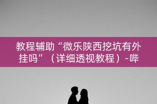 教程辅助“微乐陕西挖坑有外挂吗”（详细透视教程）-哔哩哔哩
