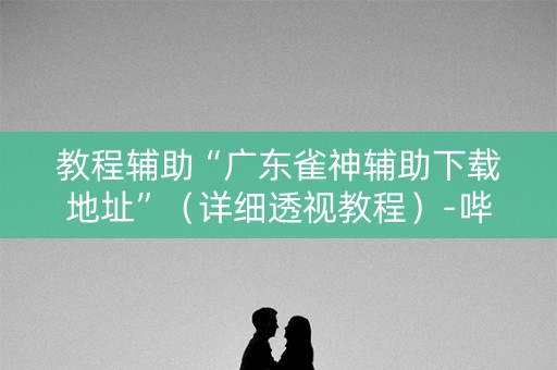 教程辅助“广东雀神辅助下载地址”（详细透视教程）-哔哩哔哩