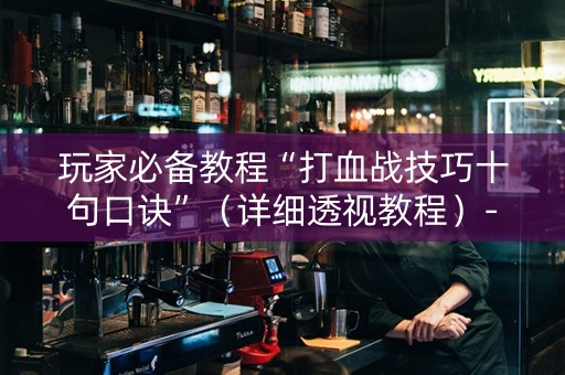 玩家必备教程“打血战技巧十句口诀”（详细透视教程）-哔哩哔哩