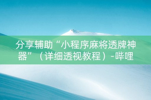 分享辅助“小程序麻将透牌神器”（详细透视教程）-哔哩哔哩
