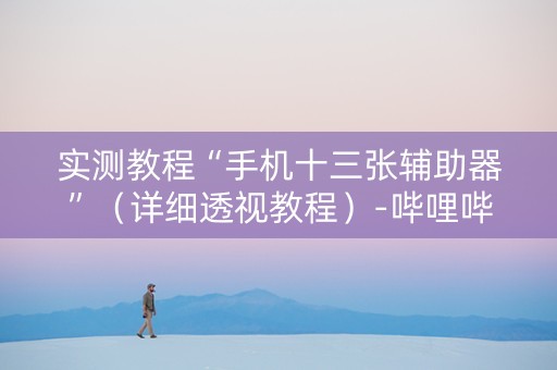 实测教程“手机十三张辅助器”（详细透视教程）-哔哩哔哩