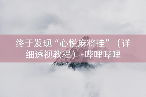 终于发现“心悦麻将挂”（详细透视教程）-哔哩哔哩