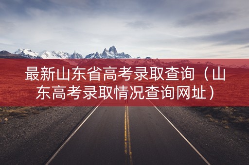最新山东省高考录取查询（山东高考录取情况查询网址）