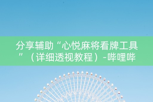 分享辅助“心悦麻将看牌工具”（详细透视教程）-哔哩哔哩