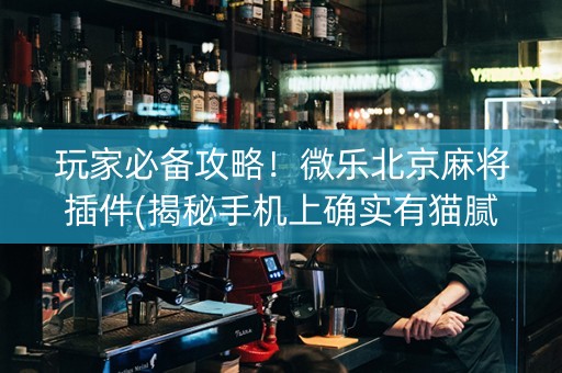 玩家必备攻略！微乐北京麻将插件(揭秘手机上确实有猫腻)