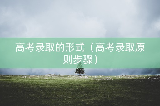 高考录取的形式（高考录取原则步骤）