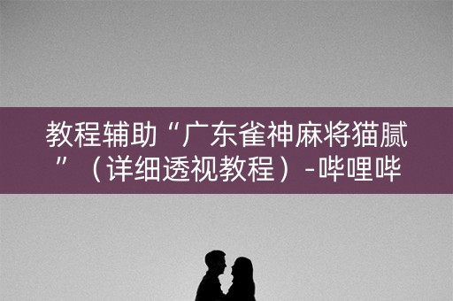 教程辅助“广东雀神麻将猫腻”（详细透视教程）-哔哩哔哩