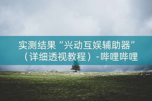 实测结果“兴动互娱辅助器”（详细透视教程）-哔哩哔哩