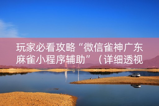 玩家必看攻略“微信雀神广东麻雀小程序辅助”（详细透视教程）-哔哩哔哩