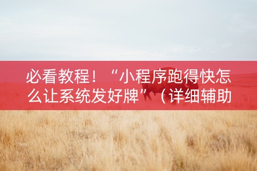 必看教程！“小程序跑得快怎么让系统发好牌”（详细辅助教程）-哔哩哔哩