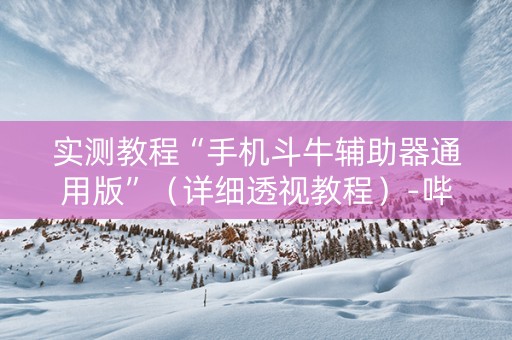 实测教程“手机斗牛辅助器通用版”（详细透视教程）-哔哩哔哩