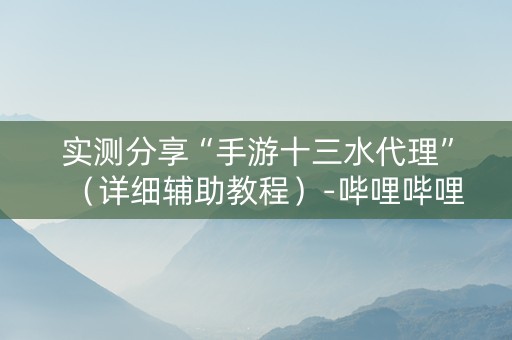 实测分享“手游十三水代理”（详细辅助教程）-哔哩哔哩