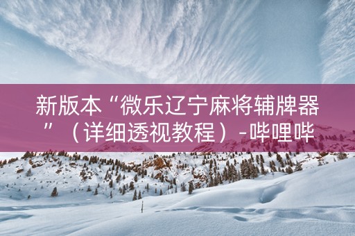 新版本“微乐辽宁麻将辅牌器”（详细透视教程）-哔哩哔哩