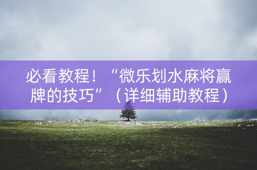 必看教程！“微乐划水麻将赢牌的技巧”（详细辅助教程）-哔哩哔哩
