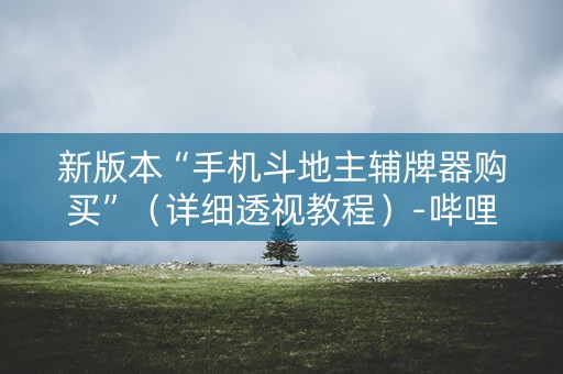 新版本“手机斗地主辅牌器购买”（详细透视教程）-哔哩哔哩