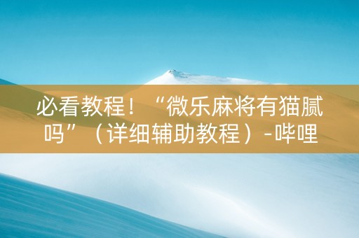 必看教程！“微乐麻将有猫腻吗”（详细辅助教程）-哔哩哔哩