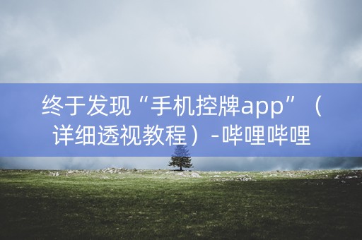 终于发现“手机控牌app”（详细透视教程）-哔哩哔哩