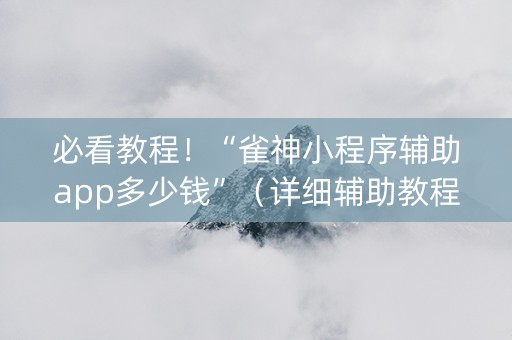 必看教程！“雀神小程序辅助app多少钱”（详细辅助教程）-哔哩哔哩