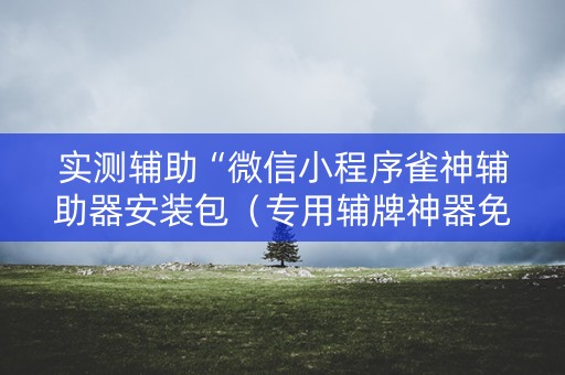 实测辅助“微信小程序雀神辅助器安装包（专用辅牌神器免安装）