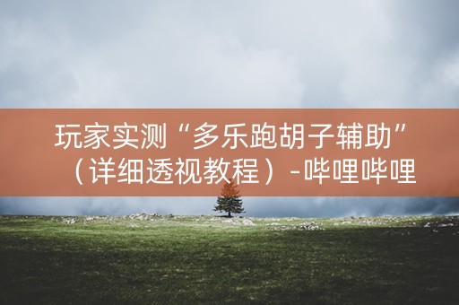玩家实测“多乐跑胡子辅助”（详细透视教程）-哔哩哔哩