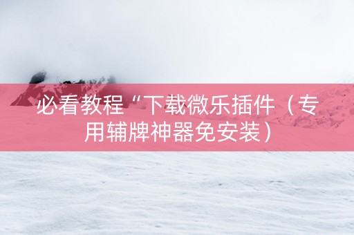 必看教程“下载微乐插件（专用辅牌神器免安装）