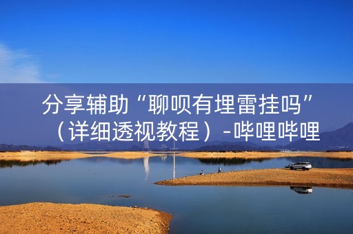 分享辅助“聊呗有埋雷挂吗”（详细透视教程）-哔哩哔哩