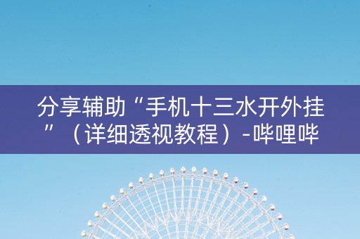 分享辅助“手机十三水开外挂”（详细透视教程）-哔哩哔哩