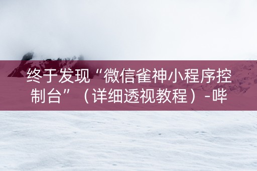 终于发现“微信雀神小程序控制台”（详细透视教程）-哔哩哔哩