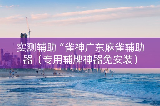 实测辅助“雀神广东麻雀辅助器（专用辅牌神器免安装）