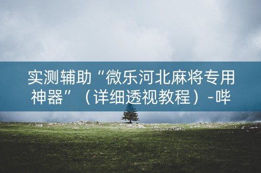 实测辅助“微乐河北麻将专用神器”（详细透视教程）-哔哩哔哩