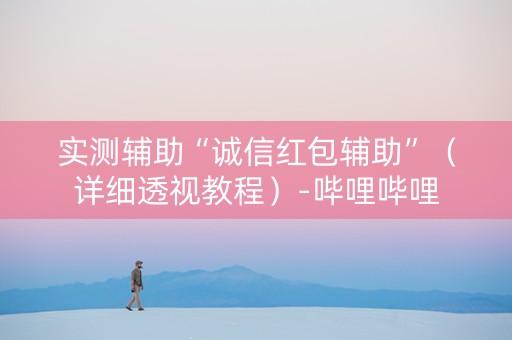 实测辅助“诚信红包辅助”（详细透视教程）-哔哩哔哩