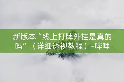 新版本“线上打牌外挂是真的吗”（详细透视教程）-哔哩哔哩