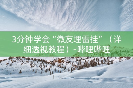 3分钟学会“微友埋雷挂”（详细透视教程）-哔哩哔哩