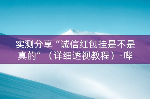 实测分享“诚信红包挂是不是真的”（详细透视教程）-哔哩哔哩