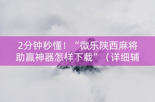 2分钟秒懂！“微乐陕西麻将助赢神器怎样下载”（详细辅助教程）-哔哩哔哩