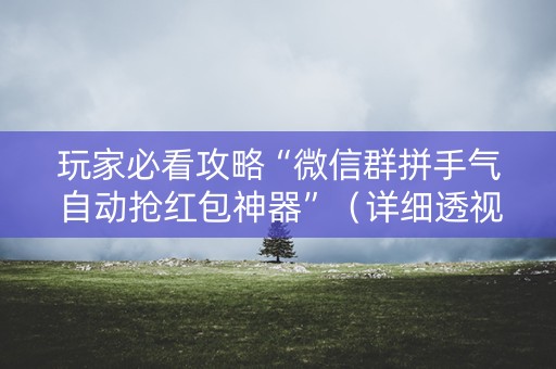 玩家必看攻略“微信群拼手气自动抢红包神器”（详细透视教程）-哔哩哔哩