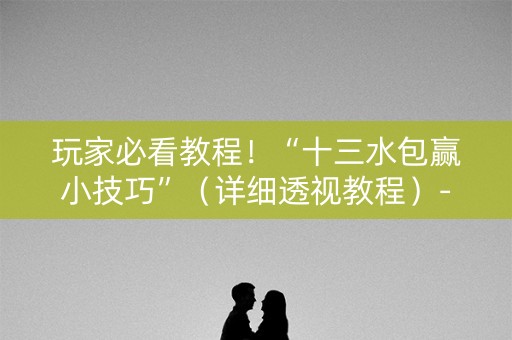 玩家必看教程！“十三水包赢小技巧”（详细透视教程）-哔哩哔哩