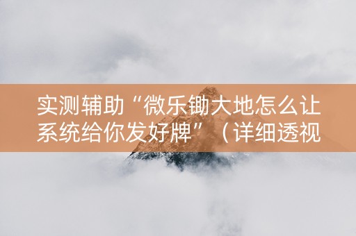 实测辅助“微乐锄大地怎么让系统给你发好牌”（详细透视教程）-哔哩哔哩